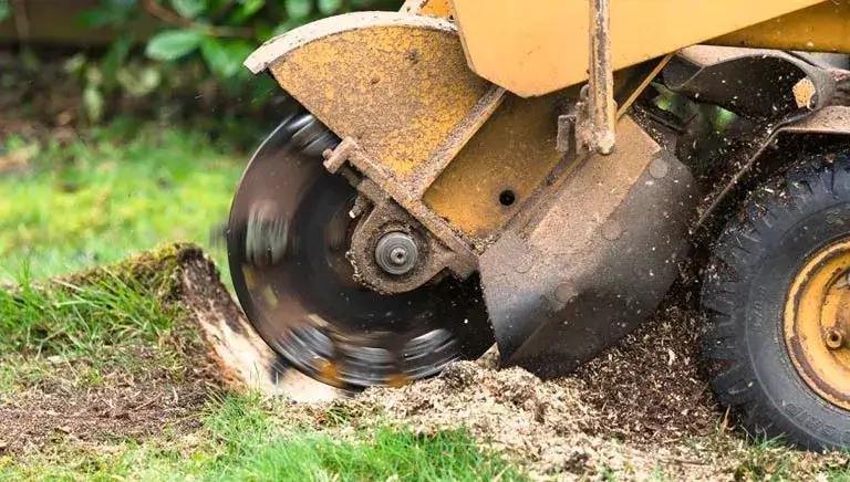 stump grinding