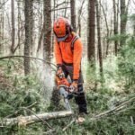 Tree Service Long Island - Arbor Jack Tree Service