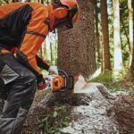 tree removal on long island